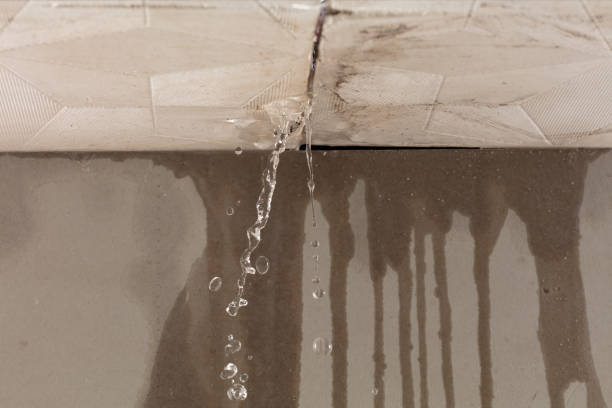 Professional Water Damage Restoration technician working in Palmersville, TN